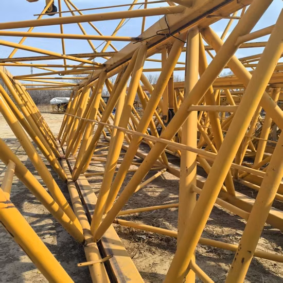 Chinese Top Brand Zoomlion Hammerhead Tower Crane D5200-240 with Lowest Price